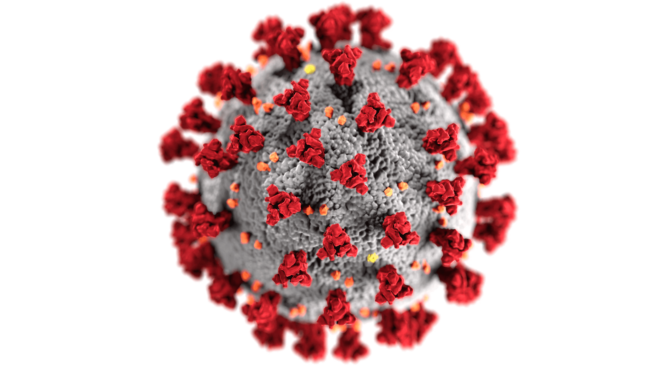 Ilustracja koronawirusa SARS-CoV-2